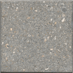 Shell_AS_SilverSam_P